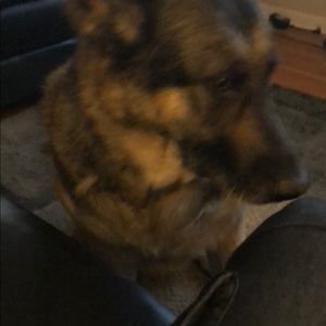 Meet your Posher, Omar